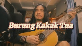 BURUNG KAKAK TUA  MAWANG  LAGU ANAK INDONESIA YANG UDAH DEWASA [upl. by Ahtoelc]