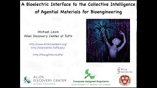 quotA bioelectric interface to the collective intelligence of agential materials for bioengineeringquot [upl. by Hartwell]