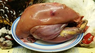 How To Prepare A PheasantMethod 2 SkinningTheScottReaProject [upl. by Aikem]