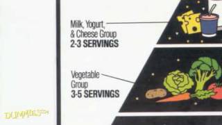 Understanding the USDA Food Pyramid For Dummies [upl. by Romain]