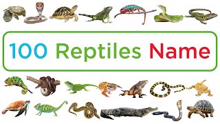 100 Reptiles Name in English II Reptiles Vocabulary II Reptiles video for kids [upl. by Yrdua113]