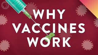 Why Vaccines Work [upl. by Eissej]