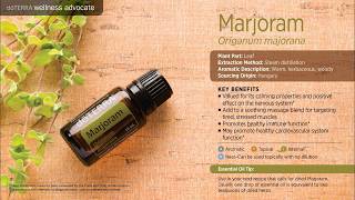 Intro to Marjoram Essential Oil [upl. by Dunc950]