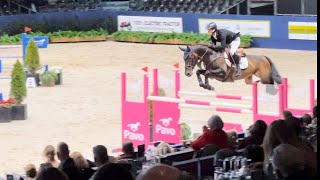 Stargos VDL amp Hessel Hoekstra winning the jump off amp stallion competition at KWPN stallion show 2024 [upl. by Gerrit]