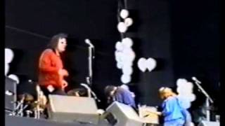 Mercury Rev Very Sleepy Rivers Live at Phoenix Festival 1993 Yerself is Steam [upl. by Bainter]