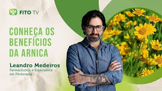 Conheça os benefícios da Arnica [upl. by Amieva]