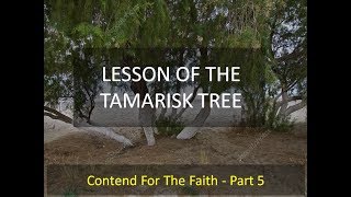 Lesson of the Tamarisk Tree  Contend for the Faith Part 5 [upl. by Asenaj]