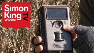 How to Use a Trail Camera [upl. by Curhan70]