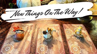 What new things are about to come in🔮 Pick a Card Tarot Reading [upl. by Vevina]