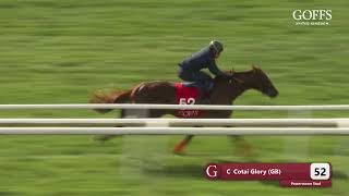 Goffs UK  Breeze Up 2023  Lot 52 [upl. by Ainaznat]