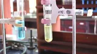 Reaction of Iron Nails with Copper Sulphate Solution in Water  MeitY OLabs [upl. by Nyleek]