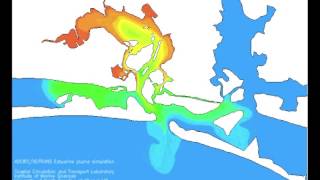 Hench Simulation of Newport Estuary Tidal Pumping [upl. by Naahsar]