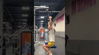 Neutral Grip Pulldown backworkout latworkout [upl. by Maiga36]