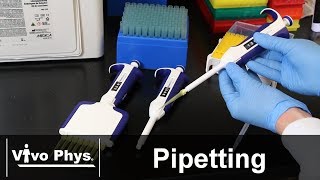 Pipetting Skills [upl. by Akienahs932]