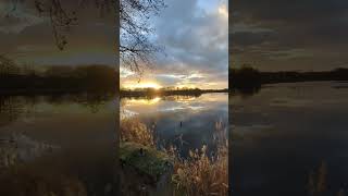 Lever de soleil en Dombes 🌞 sunset étang dombes paysage landscapephotography [upl. by Onurb573]