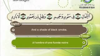 Surat AlWaqiaSheikh Saad Al Ghamdi [upl. by Altaf]