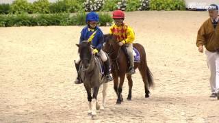 Shetland Pony Race [upl. by Dahle]