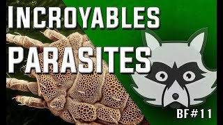 🐛➜ CES PARASITES QUI VOUS INFECTENT [upl. by Hoo]