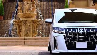 30 ALPHARD フラ☆爺 PV 201802 [upl. by Aneeres]