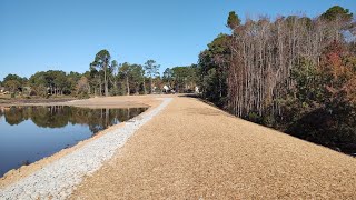 Dressing Up Seeding And Strawing The 9 Acre Pond Dam [upl. by Cary]