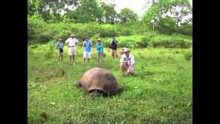 Galapagos Islands  An amazing adventure for kids Galapagos Islands [upl. by Kaehpos]