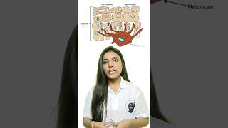 Pituitary gland  Part 2  Chemical coordination and integration  Akansha Mam pituitarygland [upl. by Cesaro]