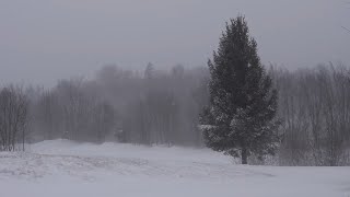 Śnieżna zamieć relaksujący dźwięk wiatru silny wiatr i śnieg  4K Ultra HD [upl. by Nosille]