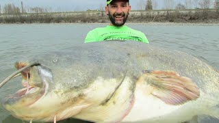 Siluro Gigante mi rompe il Mulinello  HD by Catfishing World [upl. by Biddy]