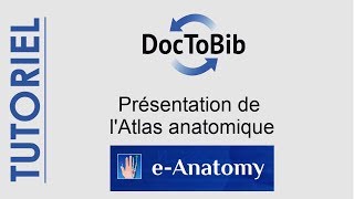 01  Présentation de latlas anatomique eAnatomy [upl. by Yak]