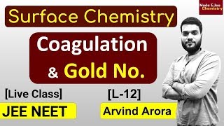 L12 Coagulation methods  Gold Number  Hardy Schulze Rule  Surface Chemistry [upl. by Nowaj]