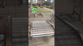 Chain plate link belt conveyor dryingsystems machine factory wirebelt [upl. by Colston143]