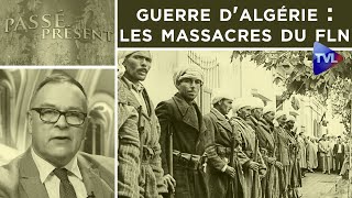 Guerre dAlgérie  les massacres du FLN  PasséPrésent n°323  TVL [upl. by Jahn670]