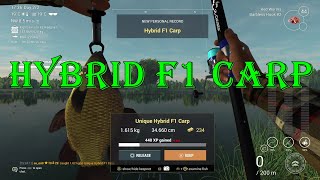 Fsihing Planet  Hybrid F1 Unique Carp  Location [upl. by Hael267]