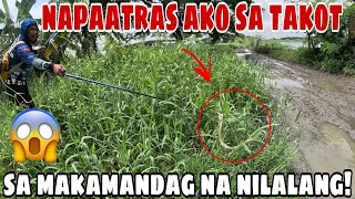 Napa atras ako at natakot ng makita ko ito makamandag na nilalang samin pangingisda [upl. by Annelise]