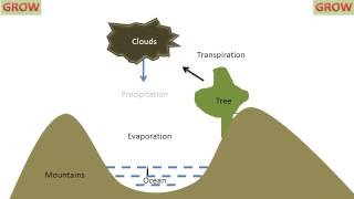 Hydrological Cycle [upl. by Ahgiel480]