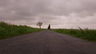 Relaxing Sounds of Light Rain and Soothing Wind Blowing Through Vegetation on an Abandoned Road  4K [upl. by Siryt]