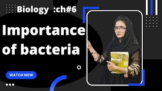 IMPORTANCE OF BACTERIA Economic importance of bacteria class 11 urduhindi [upl. by Yma687]