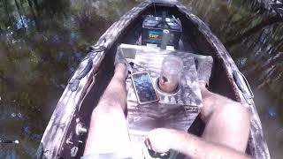 Catching bream on the Edisto river [upl. by Joline947]