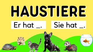 Haustiere Er hat   Sie hat  Deutsch lernen  Learn German  German Vocabulary  Deutsch A1 [upl. by Millburn]