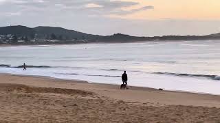 Playing with the dog and an early morning swim at Terrigal [upl. by Darraj161]