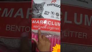 Cat Litter  Cat Litter Sand Natural Cat Litter catlitter cat pets pet hipkoo [upl. by Campy]