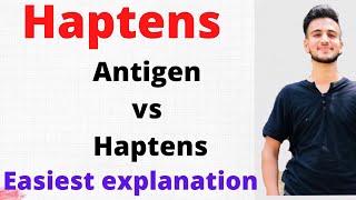 Haptens VS Antigens  Haptens in Immunology [upl. by Aihtenyc]