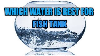 Which water is best for fish tank TAMIL  SK Aqua  SK Aquatic [upl. by Yadroc]