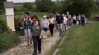 Weinblütenwanderung in Guntramsdorf [upl. by Winslow]