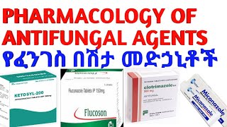 AntifungalAgents pharmacology pharmacy antibiotics doctor nursing ፋርማኮሎጂ የፈንገስመድሐኒት [upl. by Nova]