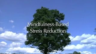 Introduction to the MBSR course UMass Medical School Center for Mindfulness [upl. by Maddeu]