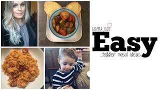 EASY TODDLER MEAL IDEAS  GEMMA JADE [upl. by Nylodnarb]