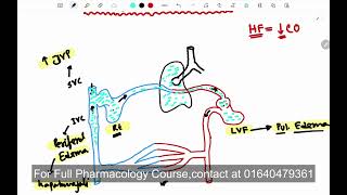 Drugs for Congestive heart failure CHF  Pharmacology  Bangla [upl. by Ynnot]