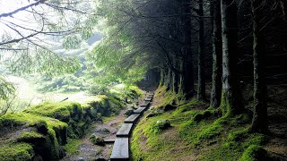 Wicklow Way 2019 Ireland May the road rise to meet you [upl. by Floyd67]