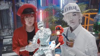 Cells at Work Live Action Coming from Warner Bros Japan [upl. by Lorrad]